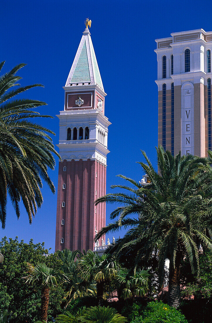 Venetiain Hotel&Casino, Las Vegas Nevada, USA