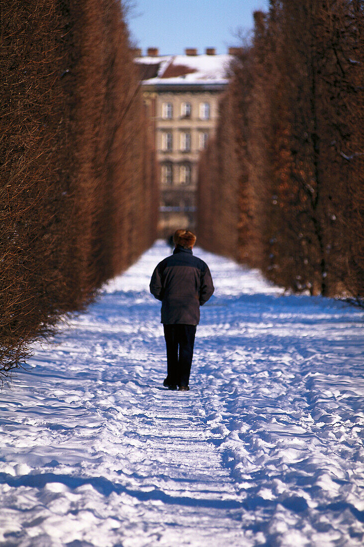 Winter walk in the Augarten, Vienna Austria