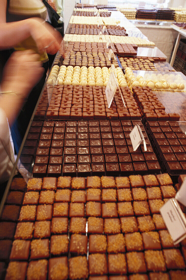 Belgian chocolate, Bruges, West Flanders, Belgium