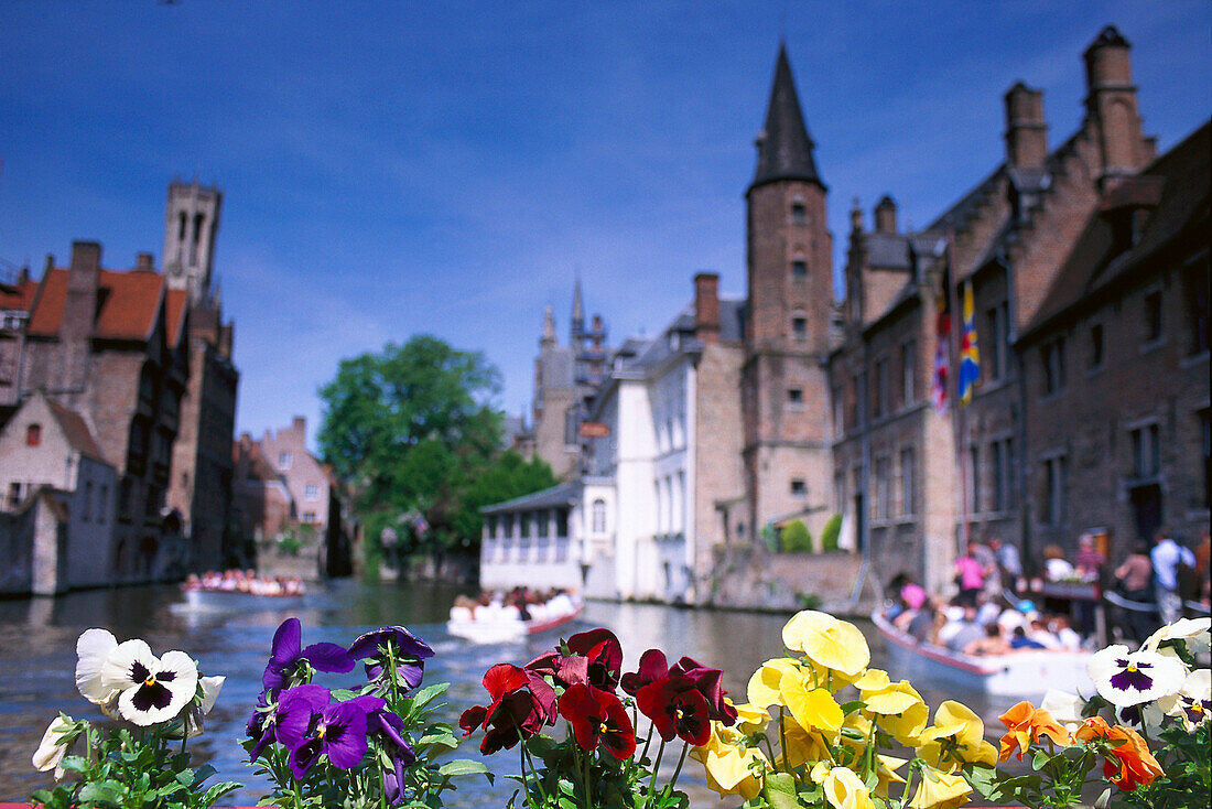 Flower and canals, Bruges Belgium