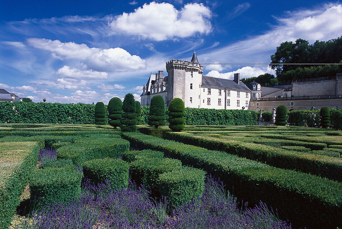 Garten der Liebe, Schloss Villandry, Château Villandry, Villandry, Indre et Loire, Frankreich