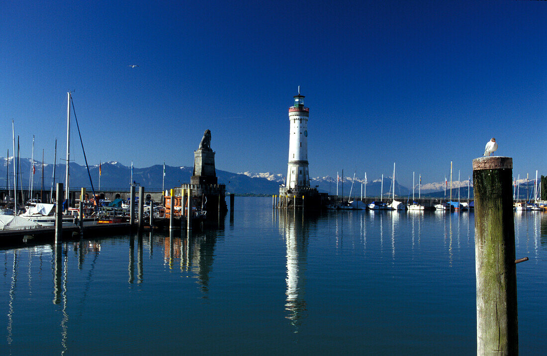 Malerischer Hafen unter blauem Himmel, Bodensee, Lindau, Bayern, Deutschland, Europa