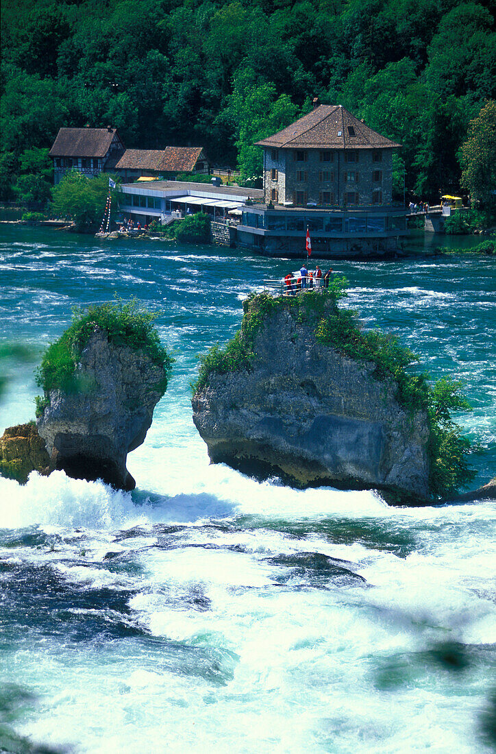 Rhine Falls, Schaffhausen Switzerland