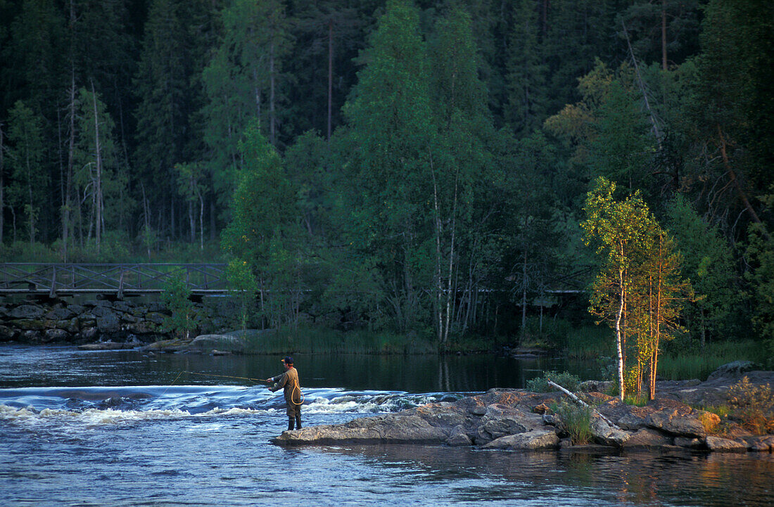 Fisher, Salmon, Lake Suomunjärvi Karelia, Finland