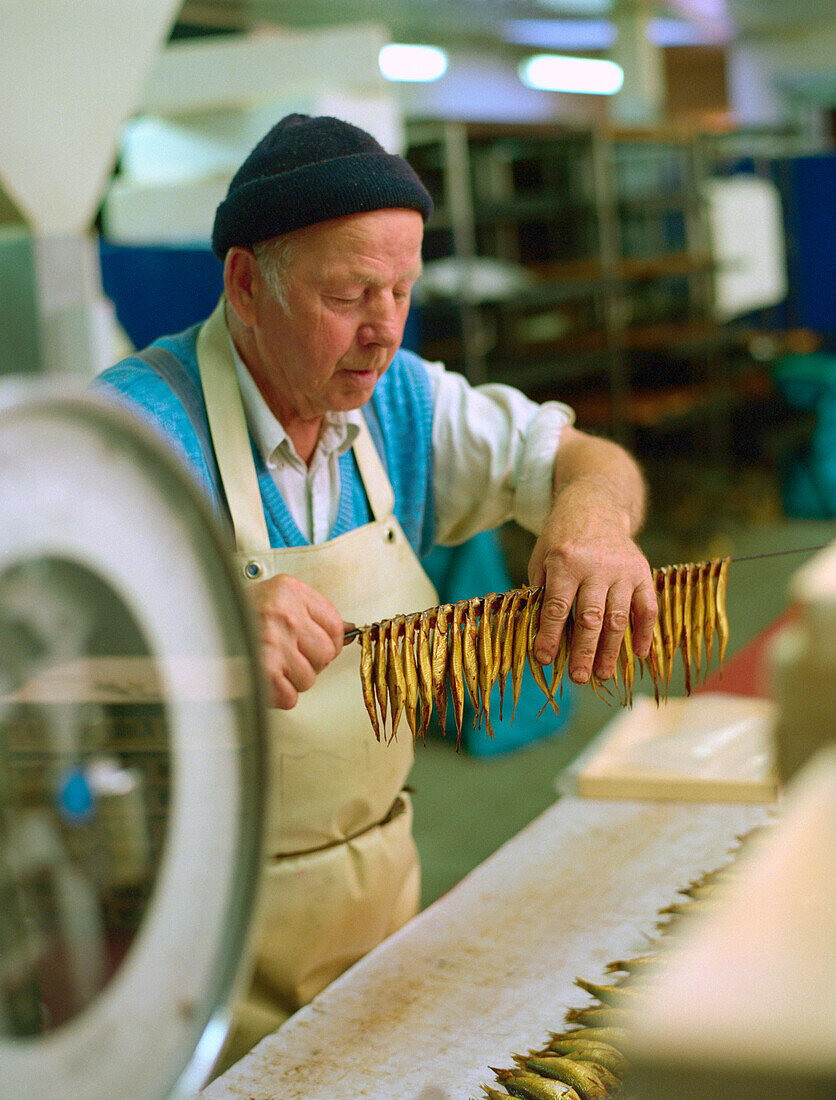 Mann bei Vorbereitung von Kieler Sprotten, Spezialität, Fischräucherei Foeh, Kappel, Schleswig Holstein, Deutschland