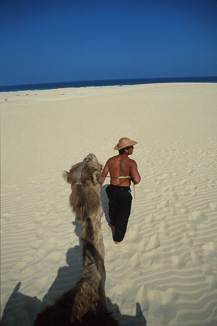 Kamelritt in den Dünen, Corralejo, Fuerteventura Kanarische Inseln, Spanien