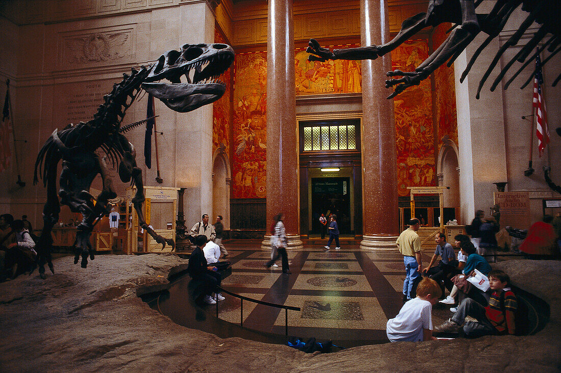 Natural History Museum, Manhattan New York, USA