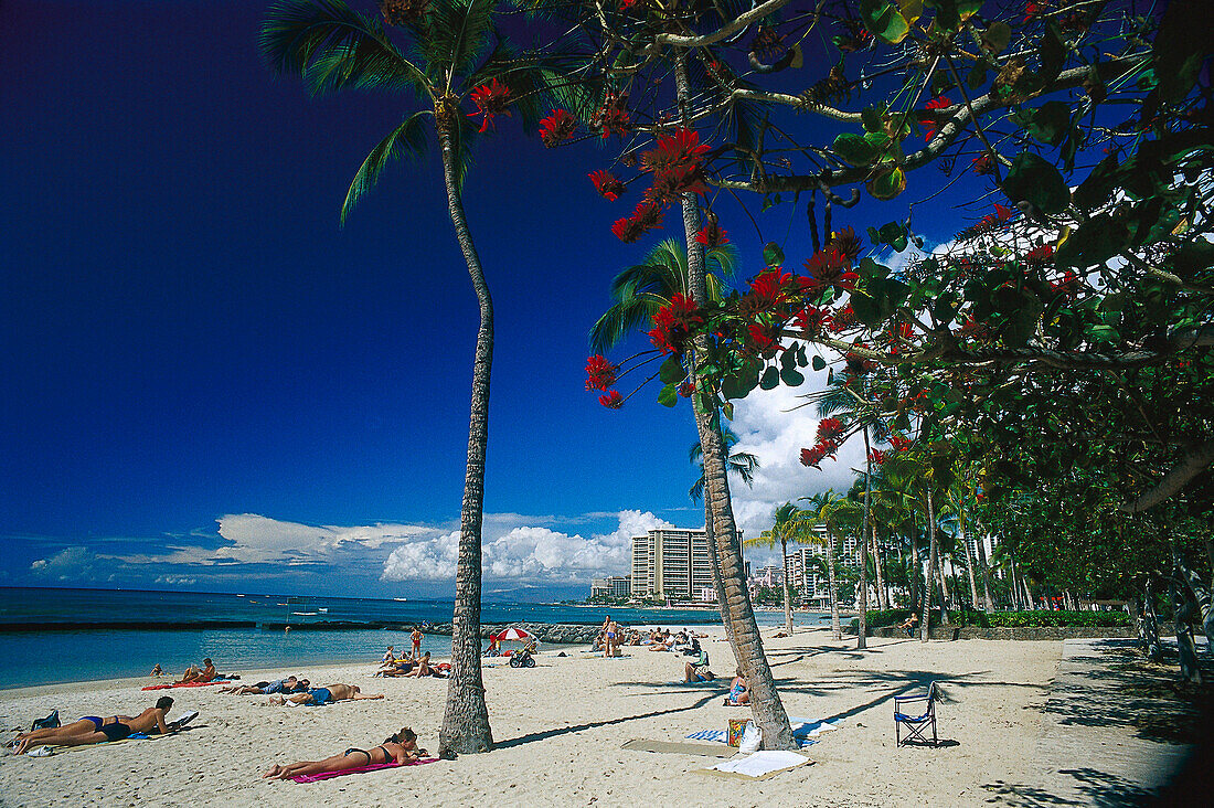 Waikiki Beaches, Waikiki, Oahu Island Hawaii, USA