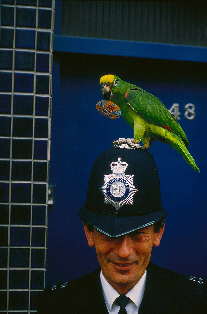 Bobby with parrot, Notting Hill Carnival London, Great Britain