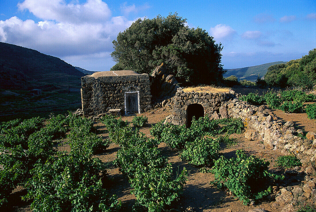 House for seasonal workers, Pantelleria Island Italy