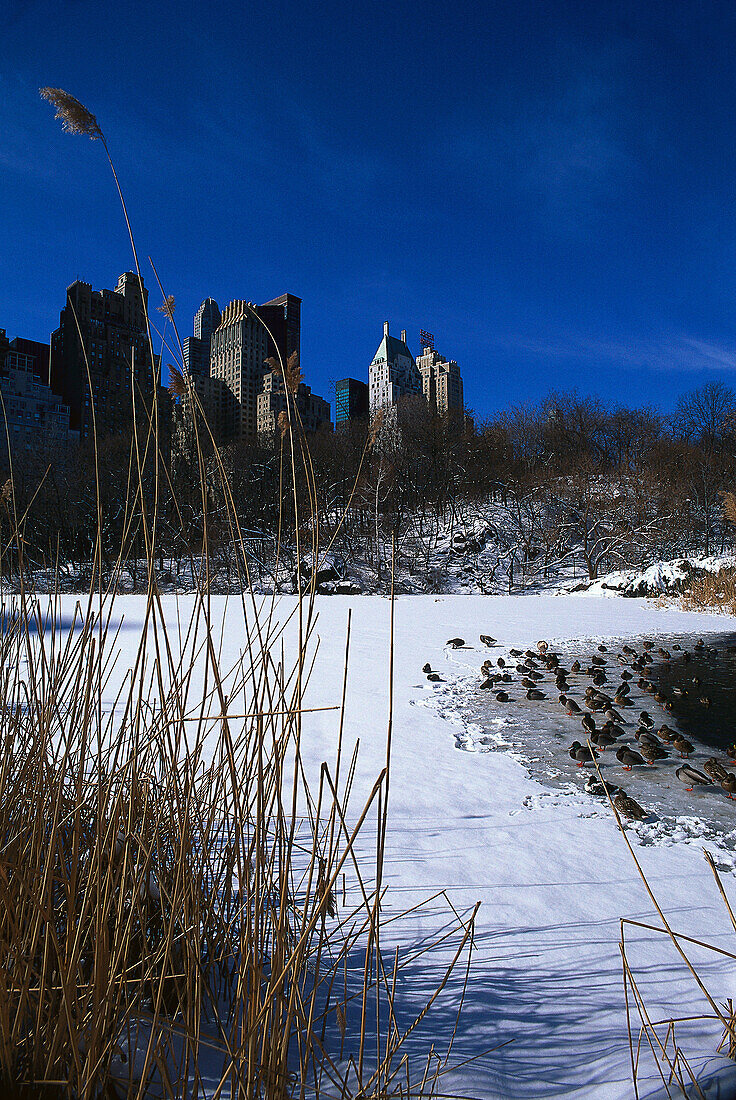 The Pond, Central Park in winter, Skyline, Central Park South Manhattan, New York, USA