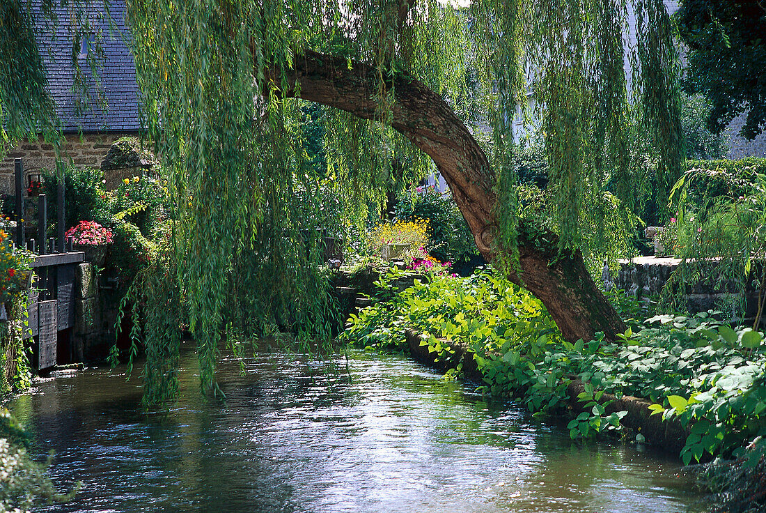 Pond beneath a willow at the village Pont-Aven, Brittany, France, Europe