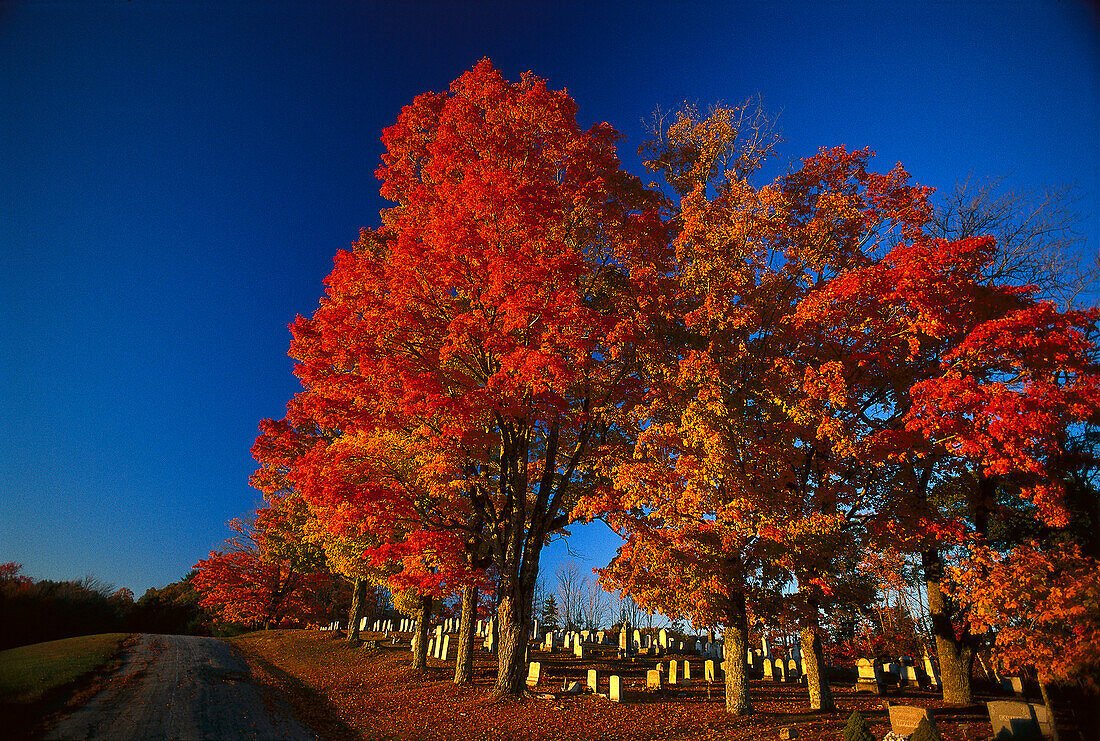 Cemetery on Mount Desert, Island Maine, USA
