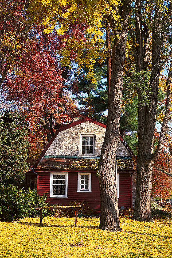 Haus unter hebstlichen Bäumen, Fairmont Park, Philadelphia, Pennsylvania, USA, Amerika