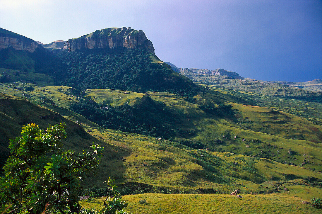 Royal Natal National Park, Drakensberge, Natal, South Africa