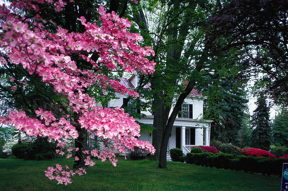 Hamptons, Spring, Long Island New York, USA