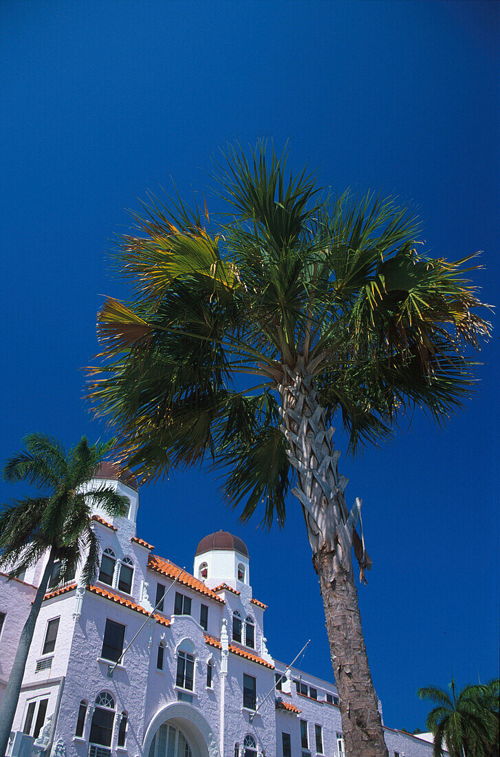 Haus und Palme unter blauem Himmel, Palm Beach, Florida, USA, Amerika