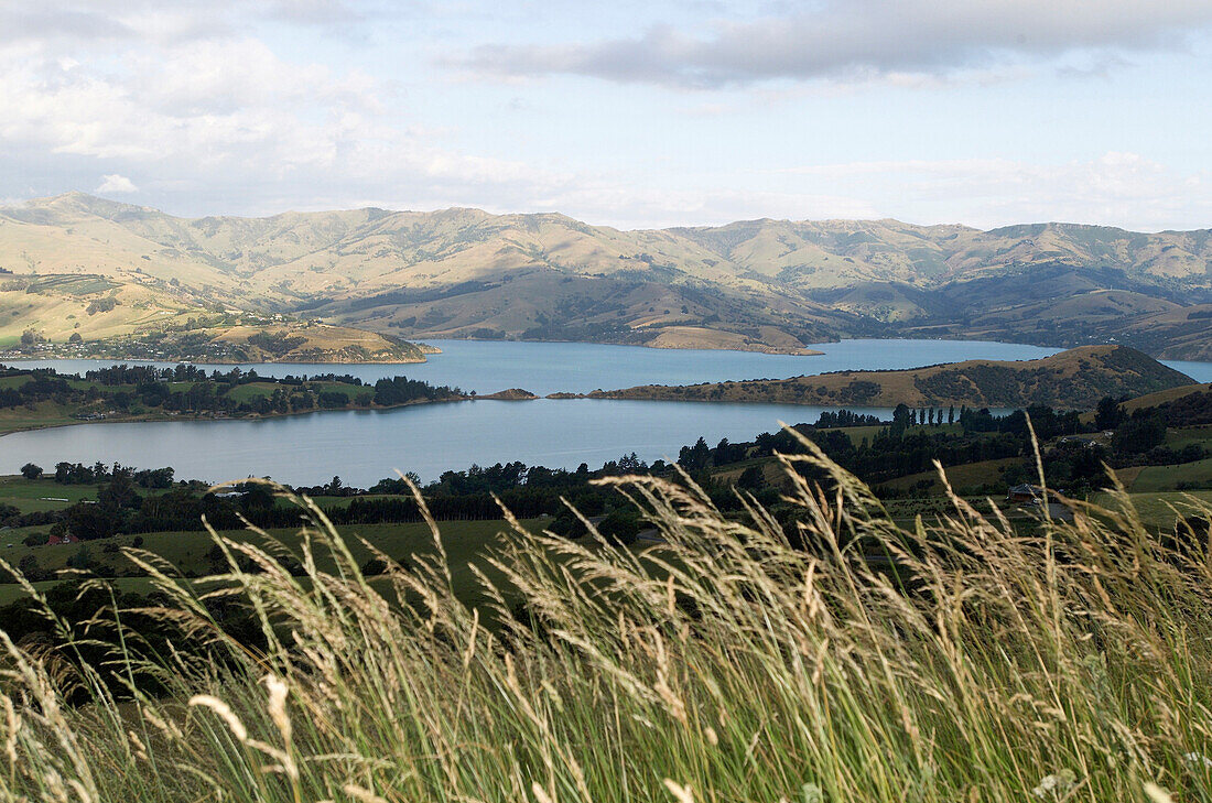Lake in newzealand, landscape New Zealand