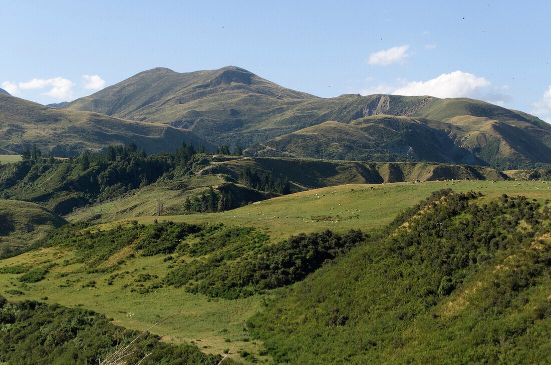 Hills in newzealand, landscape hill