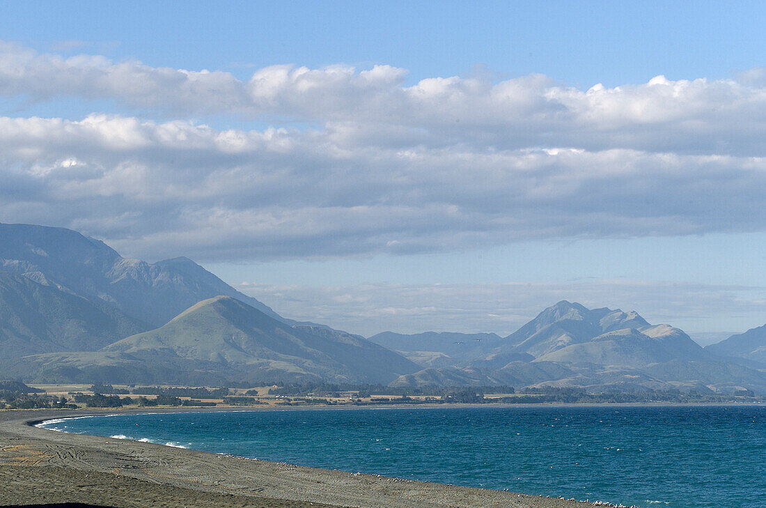 Bay in kaikoura, landscape bay
