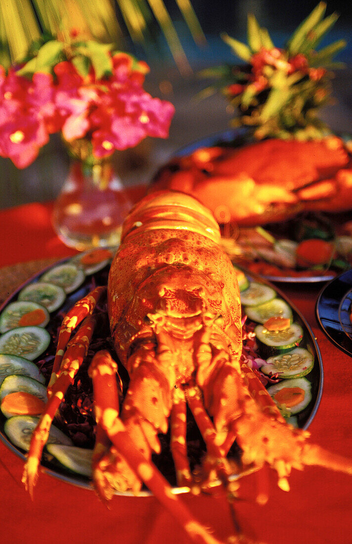 Lobster on plate, animal lobster
