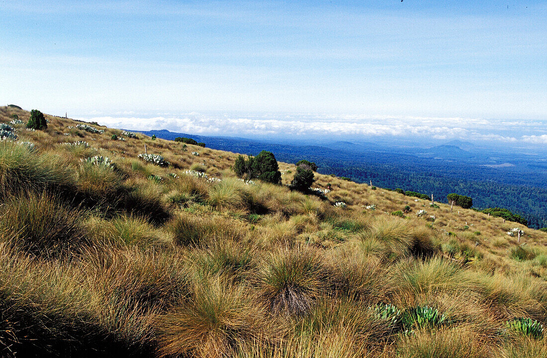 Hill mount kenia, landscape view