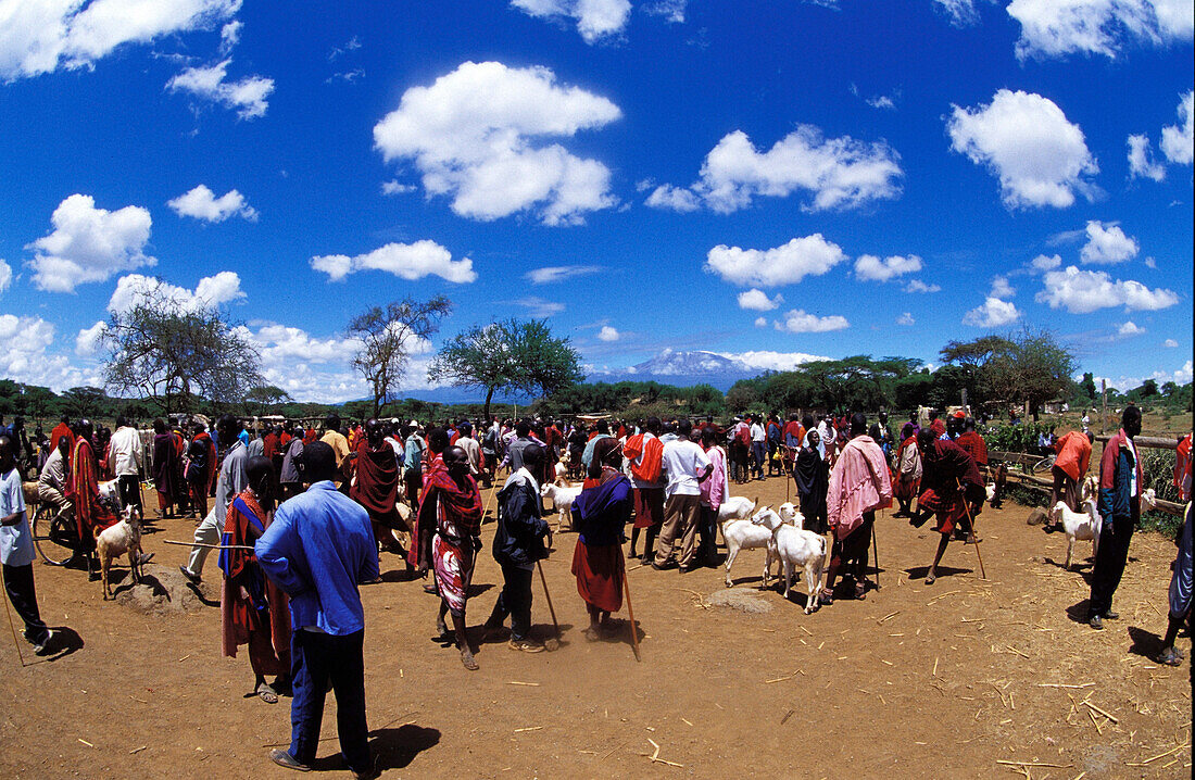 People at market, landscape market
