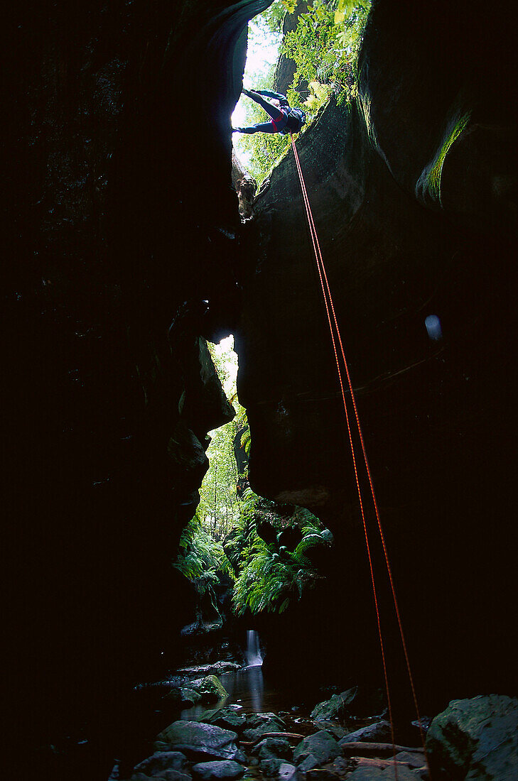 Canyoning, a man climbing up a canyon, Grand Canyon, New South Wales, Australia