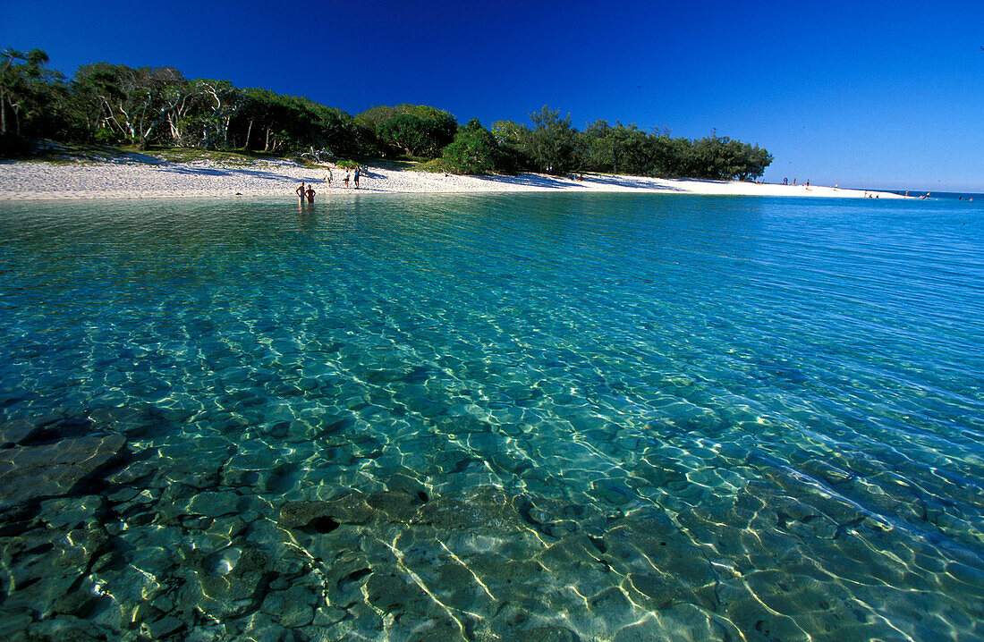 Shark Beach, Heron Island, Great Barrier Reef Queensland, Australia