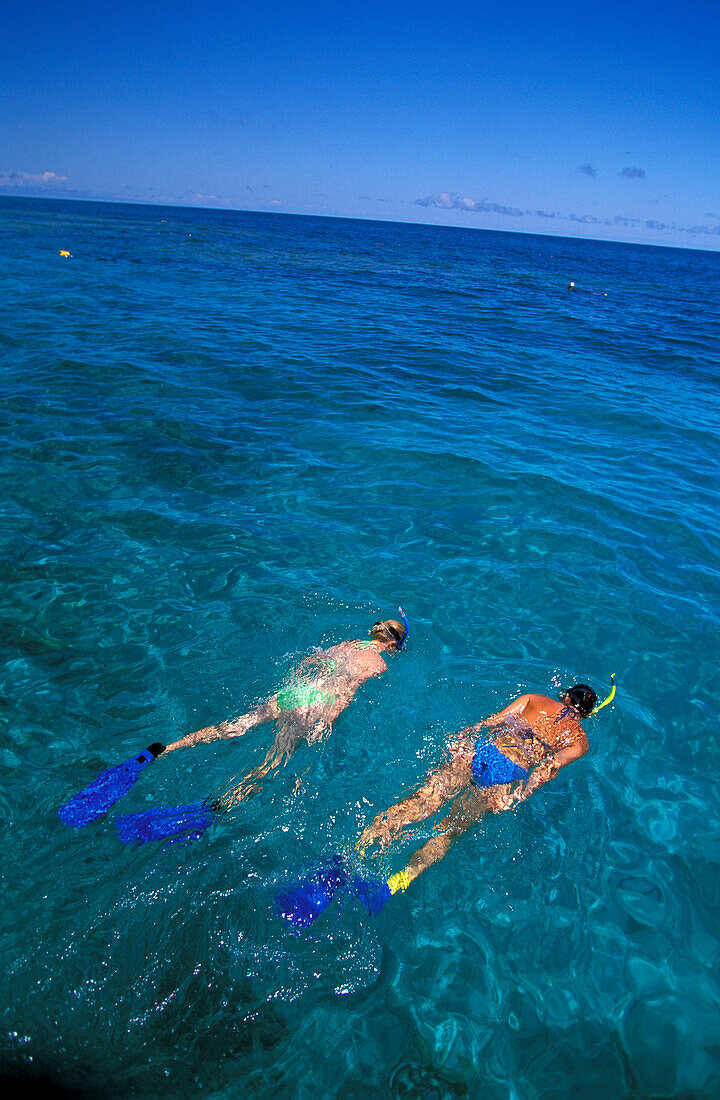 Snorkeling, Heron Island, Great Barrier Reef Queensland, Australia