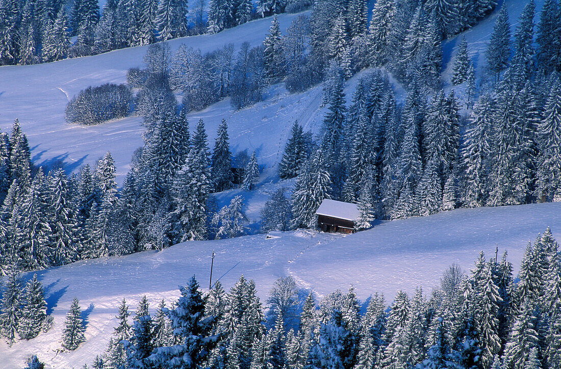 Blick auf ein einsames Holzhaus, Kitzbühel, Tirol, Österreich