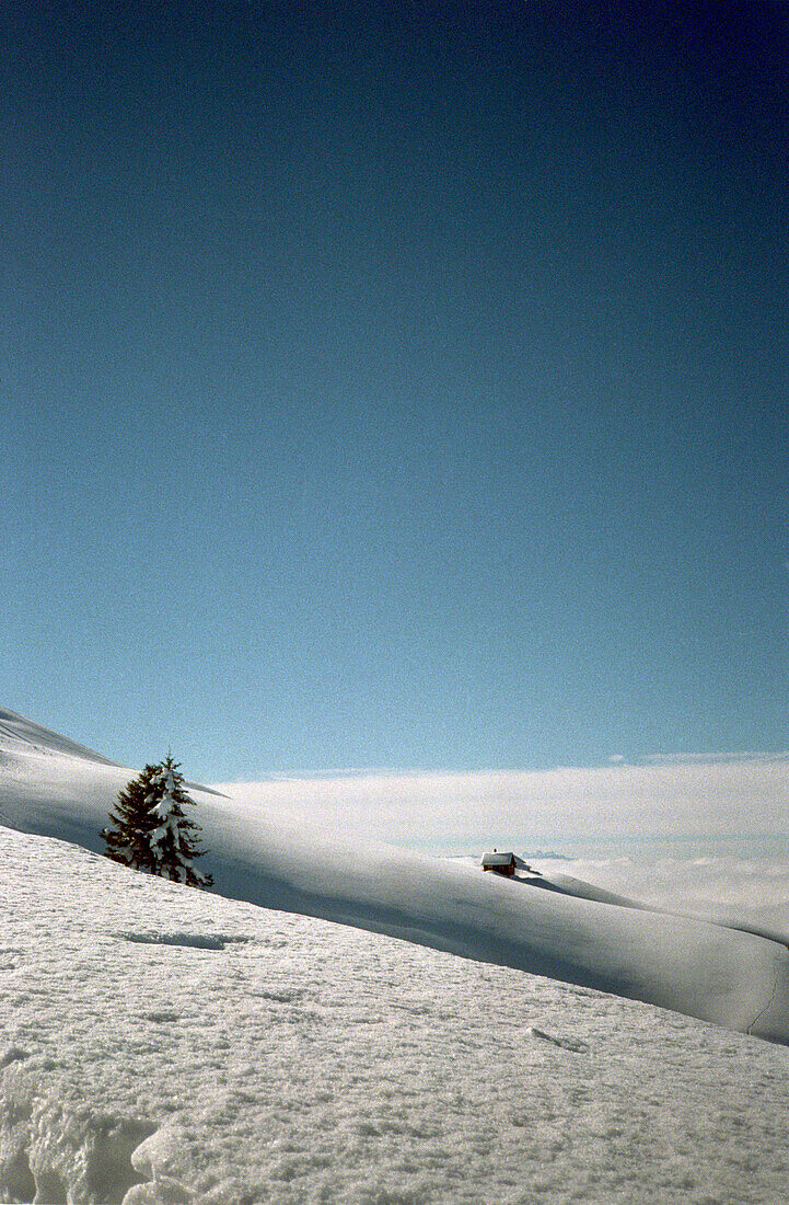 Winter Landscape, Appenzeller Land, Switzerland