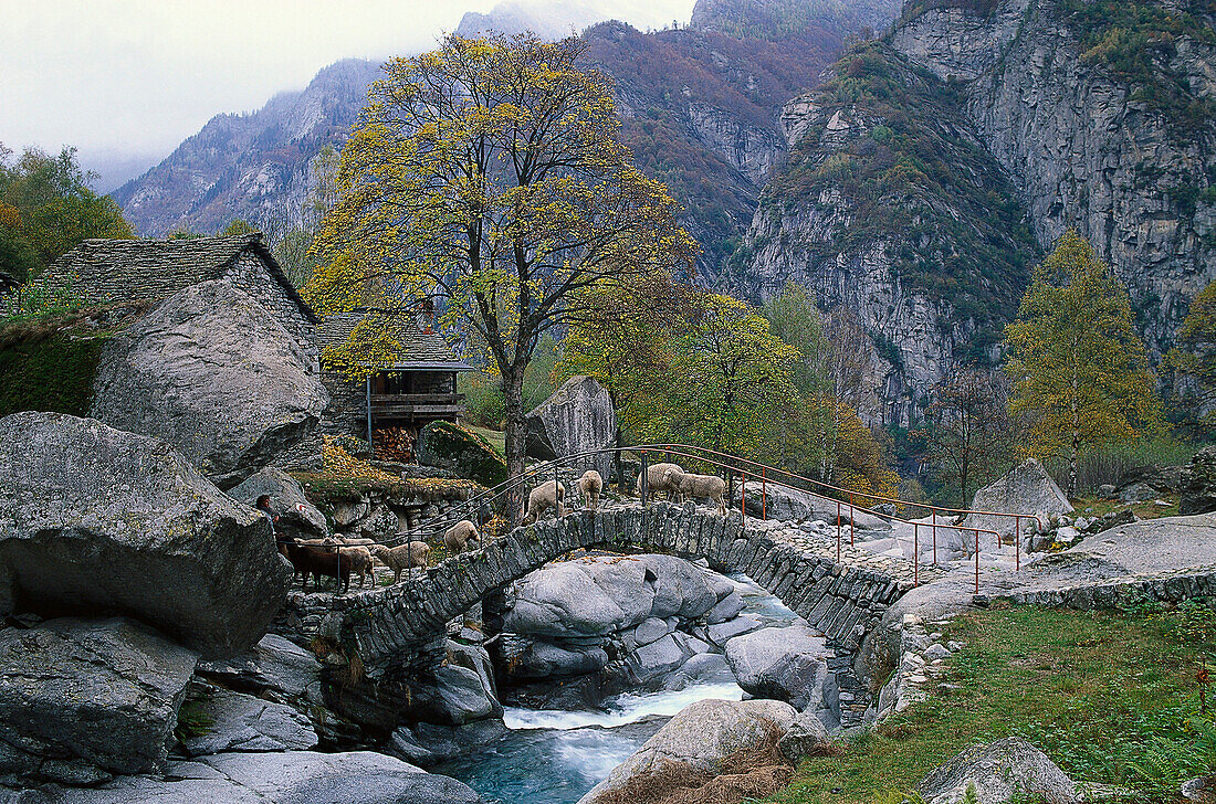 Brücke, Val Calneggia, Tessin Schweiz