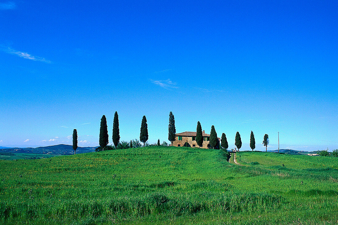 Villa with cypresses, Tuscany, Italy, Europe