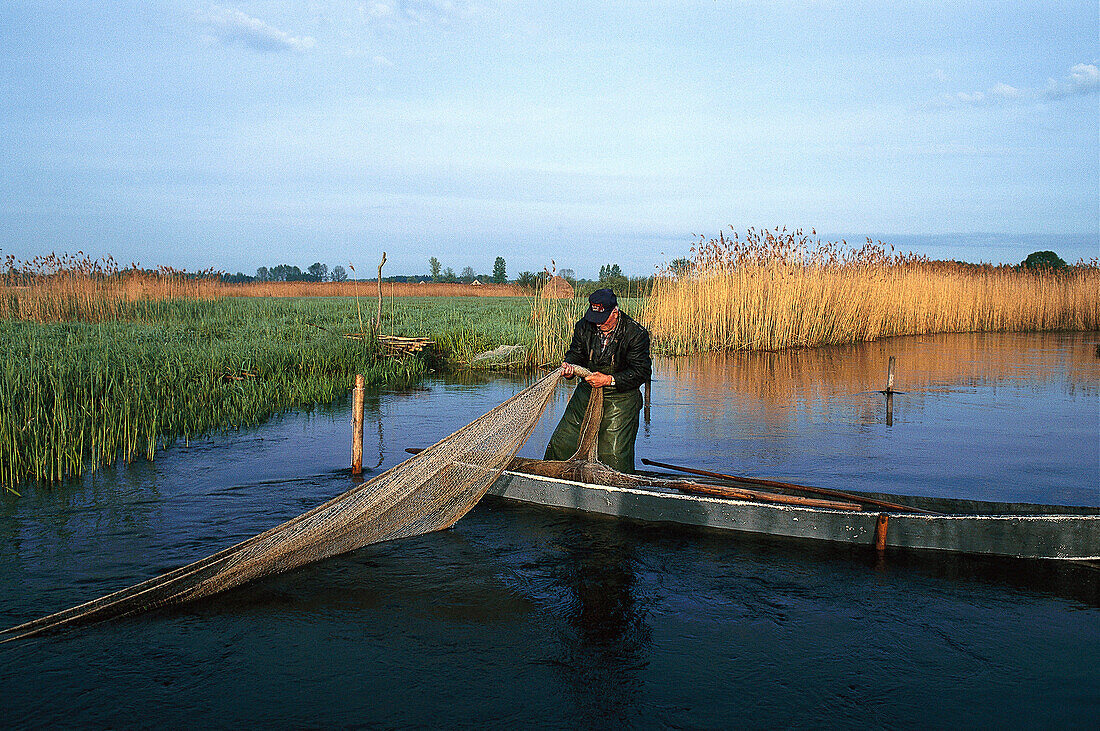 Aalfischen, Flussgebiet, Biebrza Polen