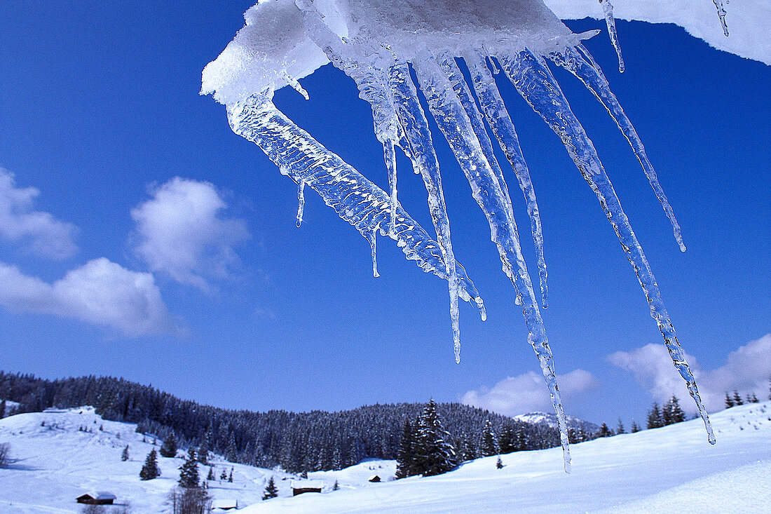 Winter landscape with icicles, Werdenfelser Land, Garmisch-Partenkirchen, Upper Bavaria, Bavaria, Germanynd