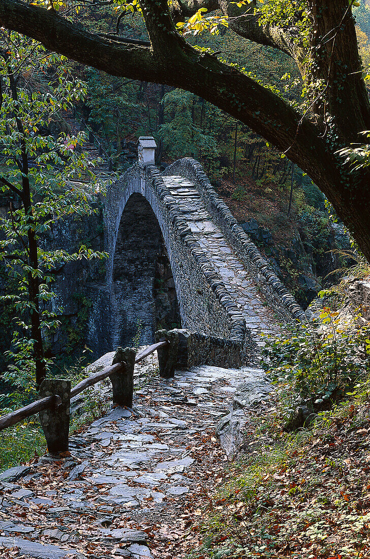 Old stone bridge over the river Melezza, Centovalli, Ticino, Switzerland