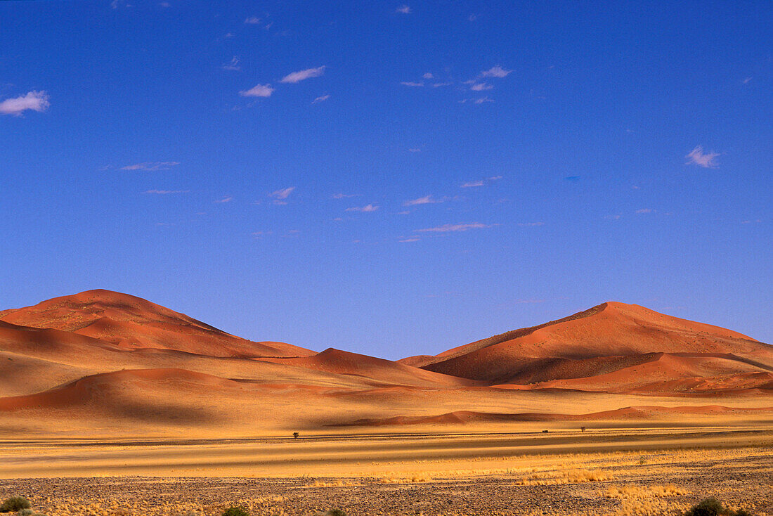 Sanddünen unter blauem Himmel, Sossusvlei, Namibia, Afrika