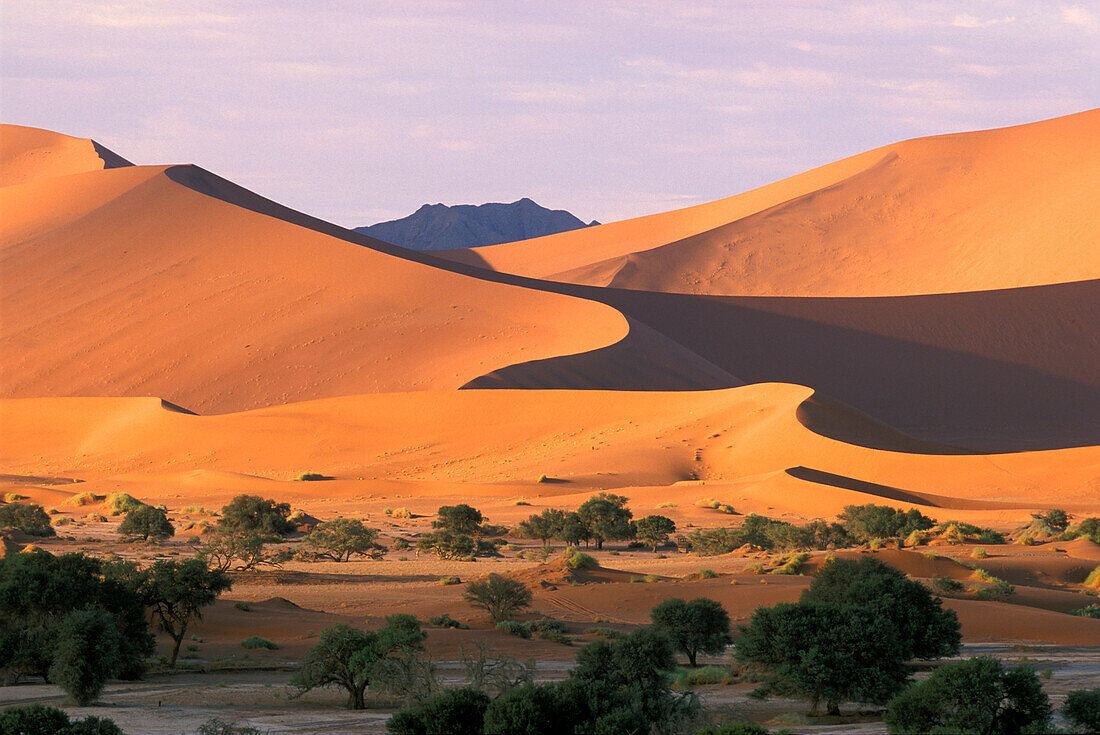 Namib desert and sanddunes at sunset, Sossusvlei, Namibia, Africa