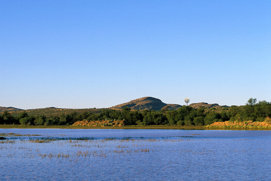 Heja Game Lodge, Windhoek, Namibia, Africa