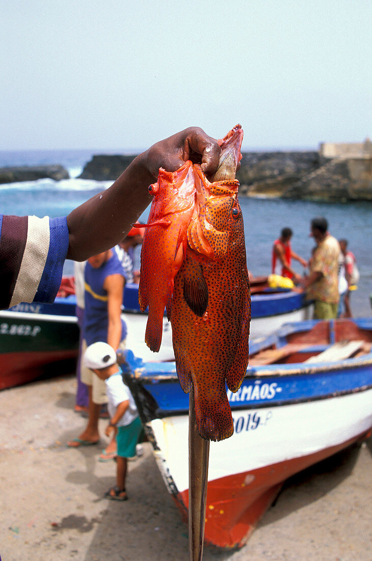 Ponta do Sol, Santo Antao, Cape Verde Islands, Africa