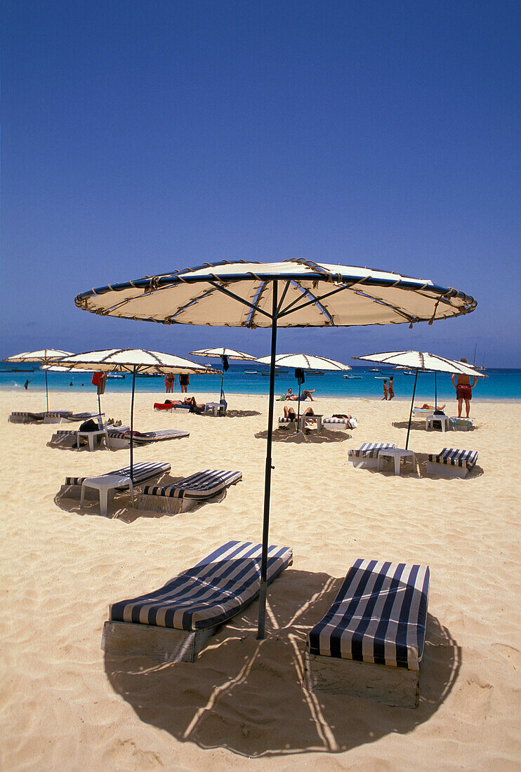 Liegestühle und Sonnenschirme am Strand, Santa Maria, Sal, Kapverden, Afrika