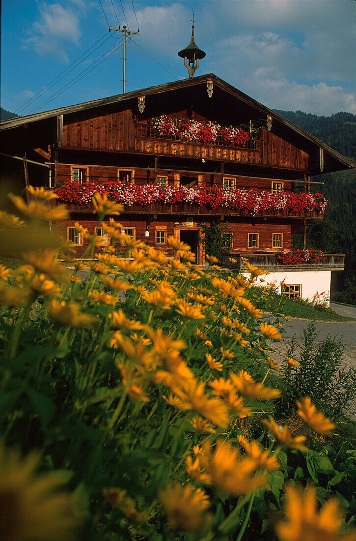 Alpbach, Tirol, Oesterreich Europa Tirol, Oesterreich Europa