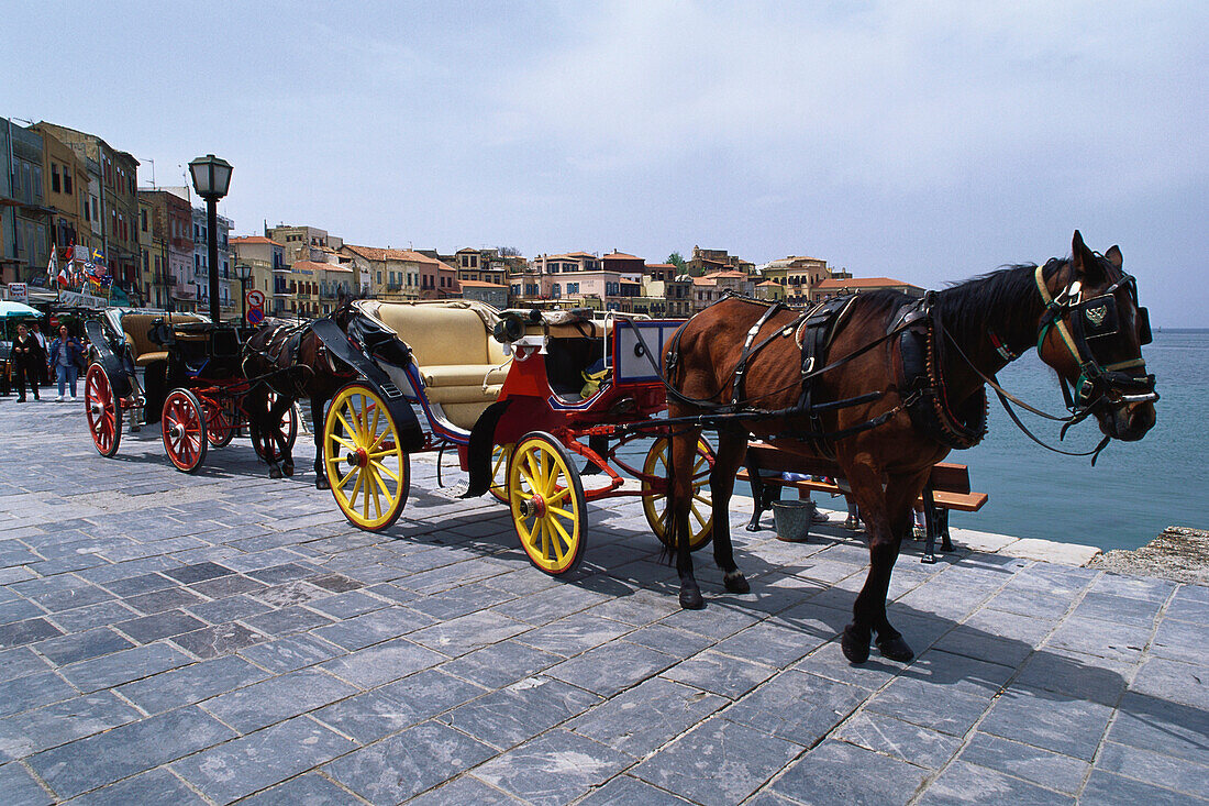 Horse drown carriages at the harbour of Chania, Crete, Greece, Europe