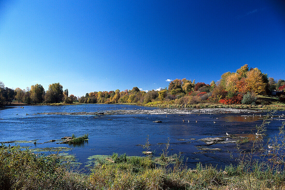 Landscape, Quebec Canada