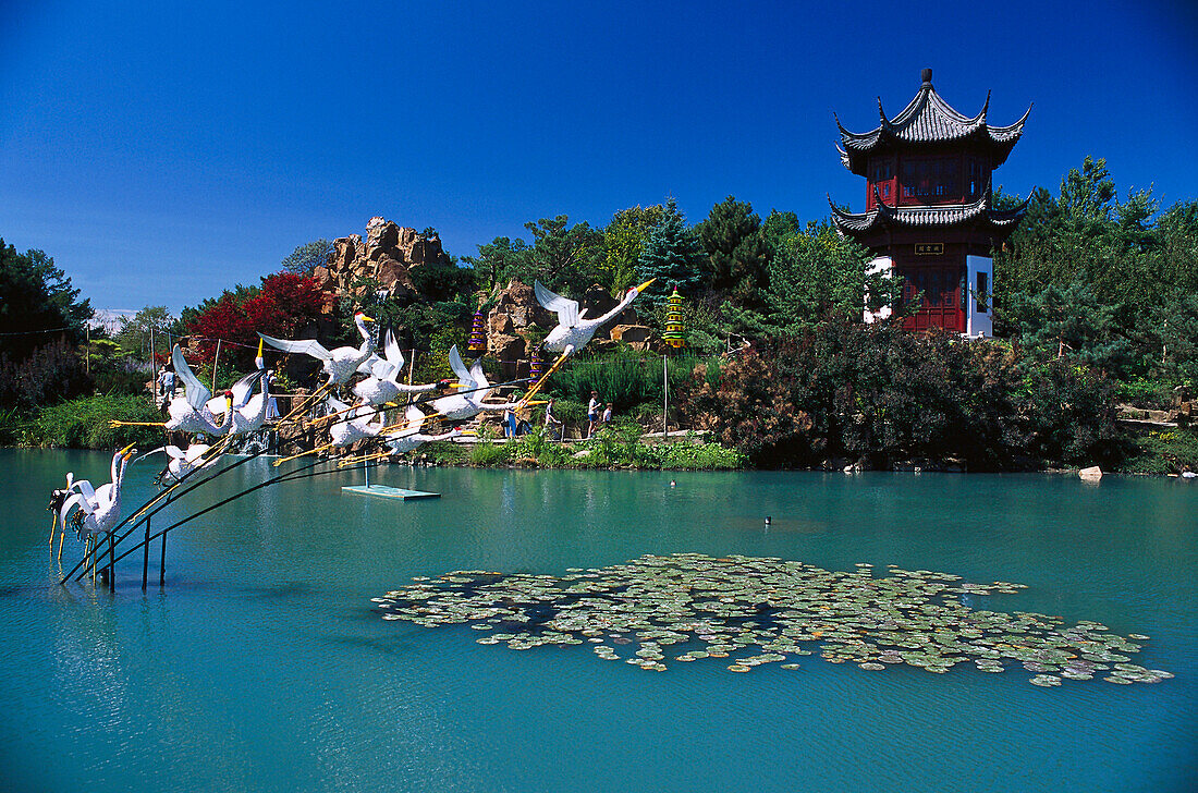 Botanic Garden / Chinese Garden, Montreal Quebec, Canada