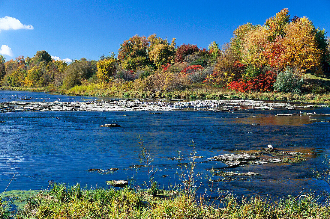 Riverside, P. Quebec Canada