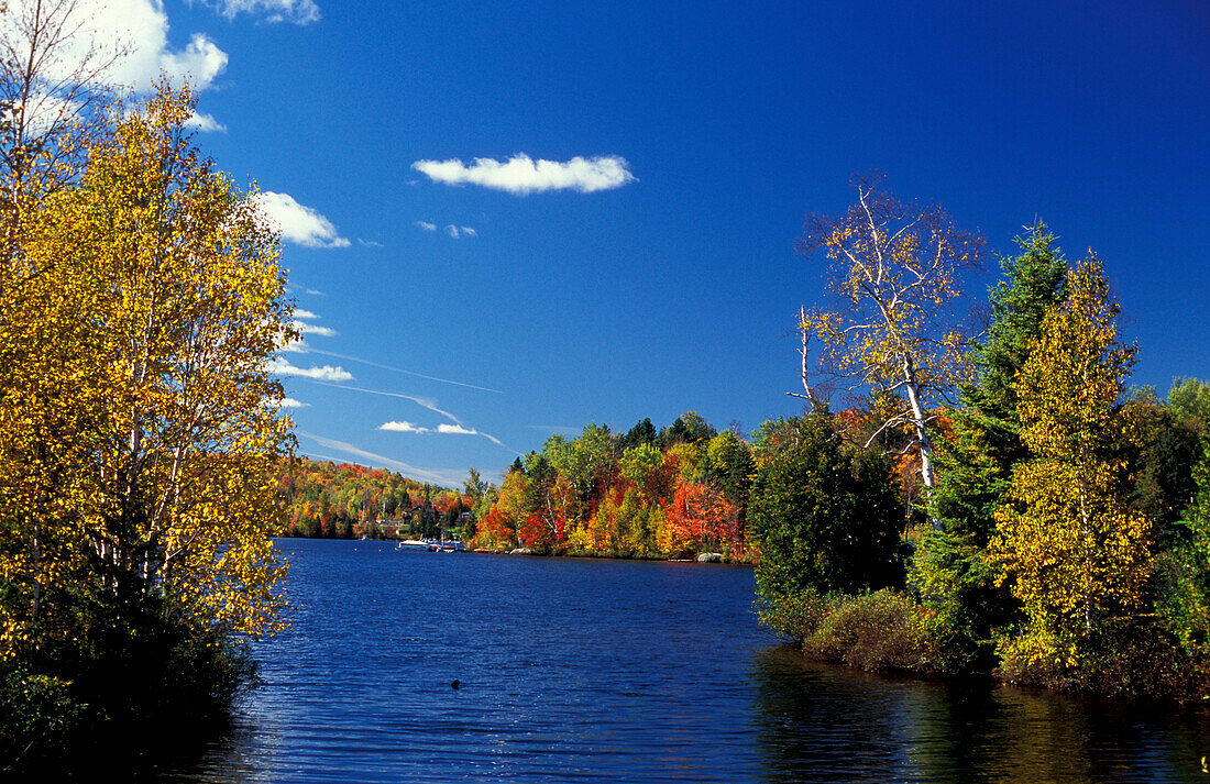 Lake, Indian Summer, Quebec, Canada