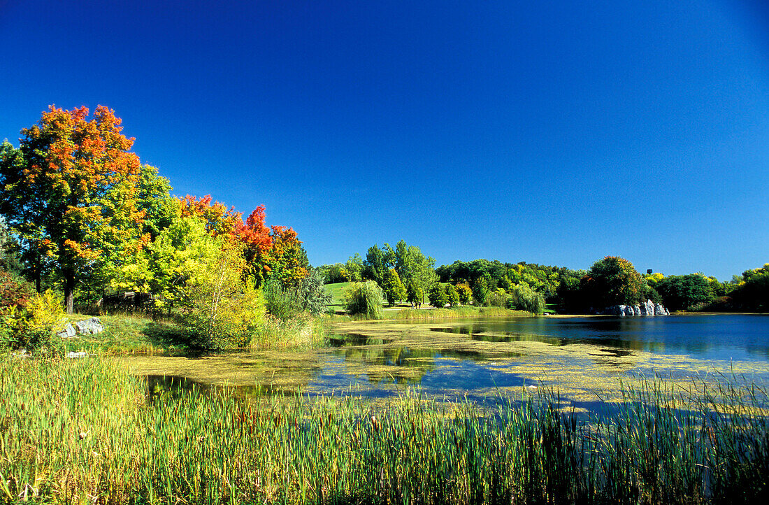 Lake, Indian Summer, Quebec, Canada