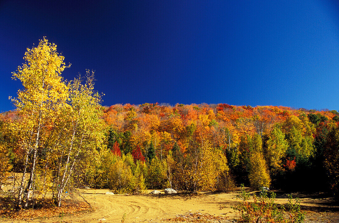 Indian Summer, Quebec, Canada